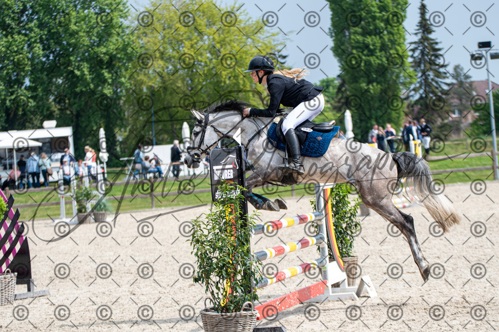 KPT_2955 | andre_photographic