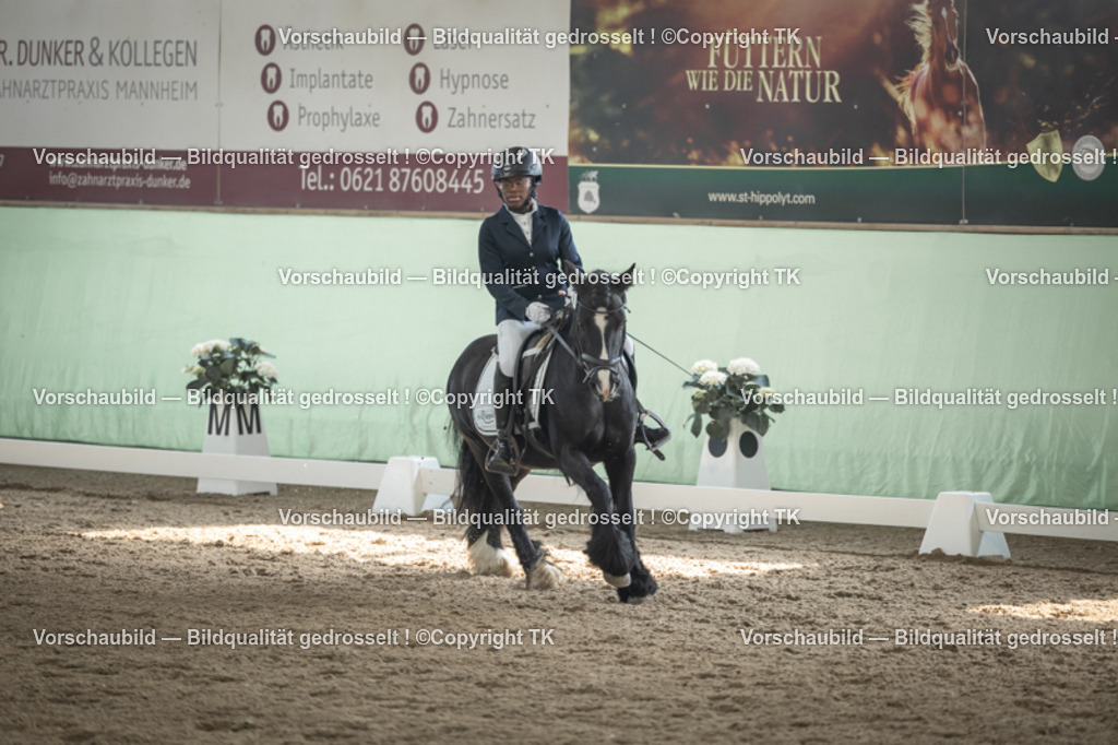 _D5A5526 | Emotionale Pferde- & People-Fotografie rund um Heidelberg, Leimen & Umgebung. Natürliche Fotos von Pferd, Mensch & Familie. Jetzt Termin sichern!