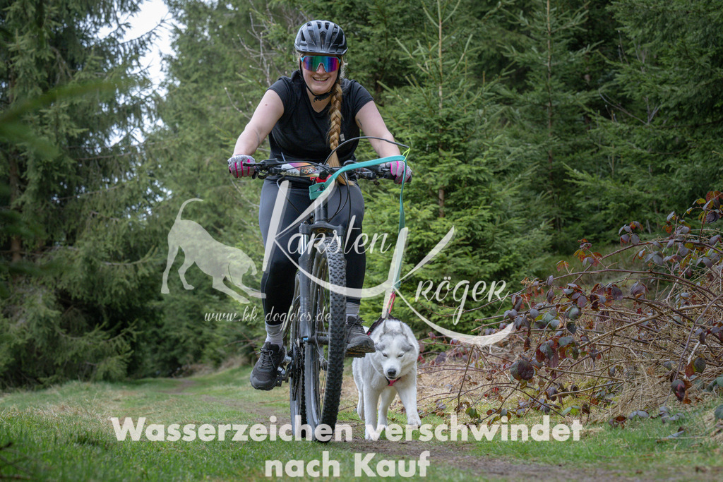 1317_ZZ94144 | kk-dogfotos