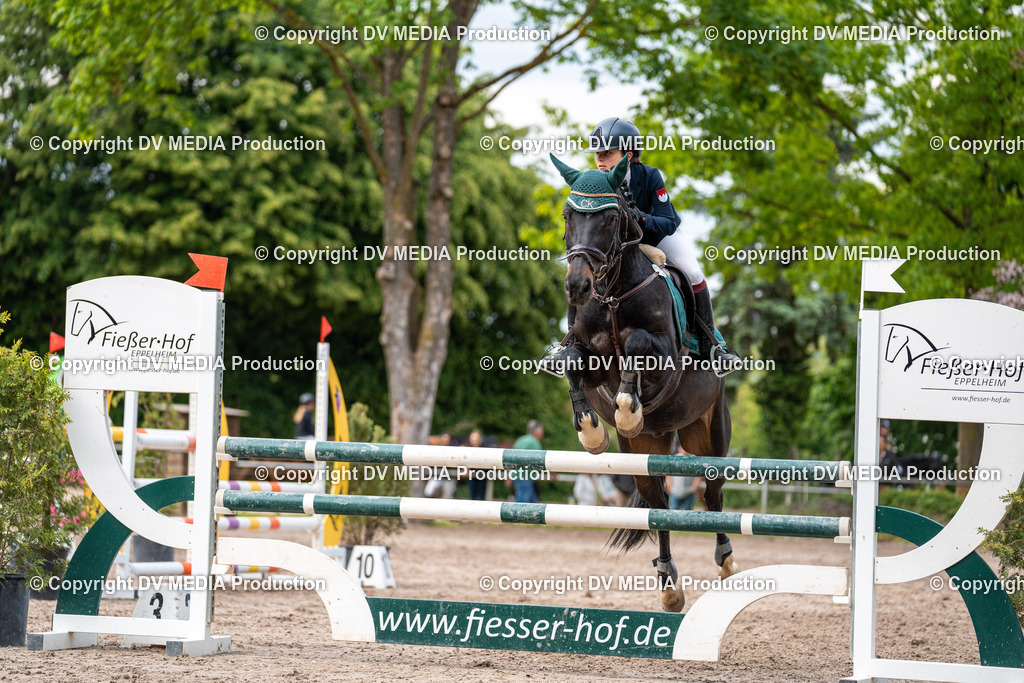 Eppelheim Tag 2-528 | dv-media-shop - Realisiert mit Pictrs.com