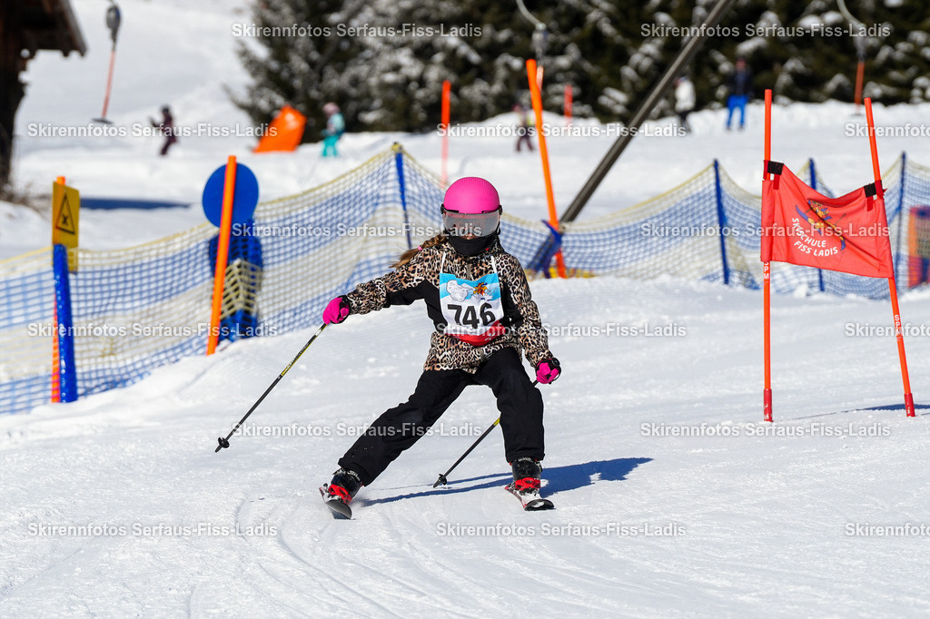 SRF_30.01.2026_0341 | SRF_30.01.2026_0341 - Realisiert mit Pictrs.com