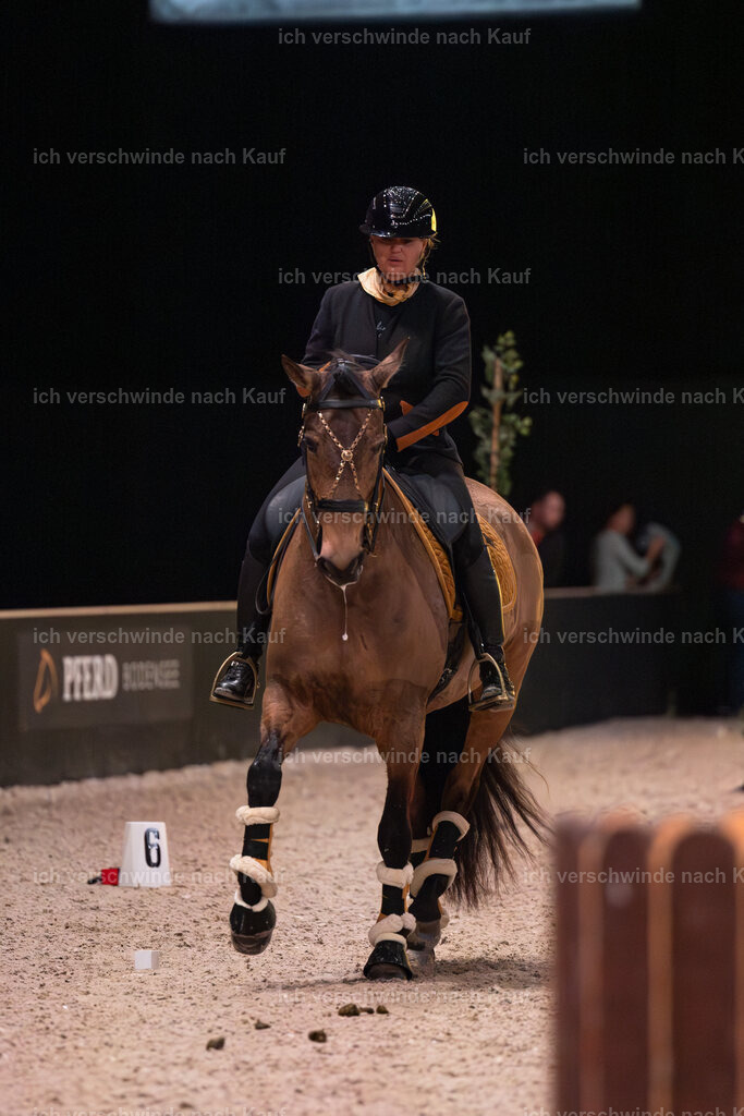 JoseraCup-36 | working equitationturnier fotograf videograf stoibphotography marixx film working equitation deutschland reitsport turnierfotografie eventfotografie equestrian events