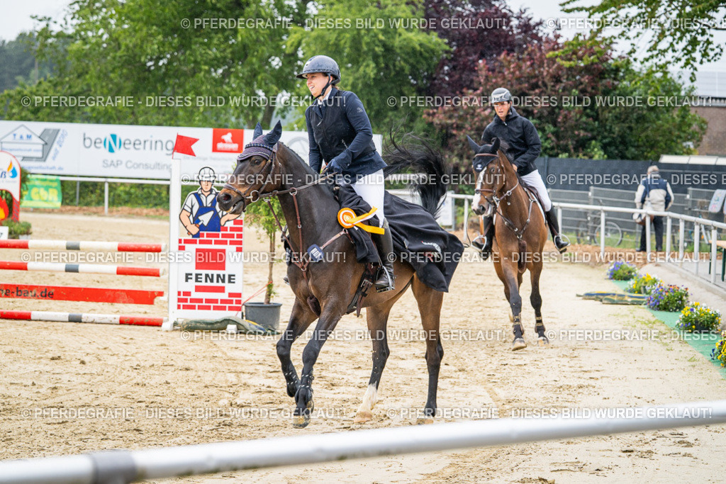 DSC03173 | Pferdegrafie