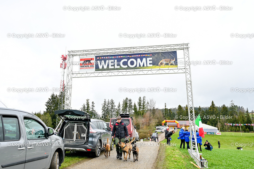 ASVÖ_ Tracking Dog World Championship 2025_ 31.03.2025-5 | 31.03.2025, AUT, ASVÖ, Tracking Dog World Championship // FCI IGP Fährtenhundeweltmeisterschaft 2025©fodo.media / Harald Dostal - Realisiert mit Pictrs.com