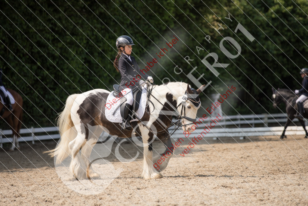 IMG_3311 | Sport-, Event- und Tierfotos in Profiqualität. Einfach auswählen, bestellen und herunterladen. Dein Moment – perfekt festgehalten.