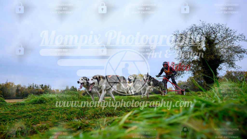 MompixPhotography_CDLBDB2025_DI_Kart-9 | PayLife