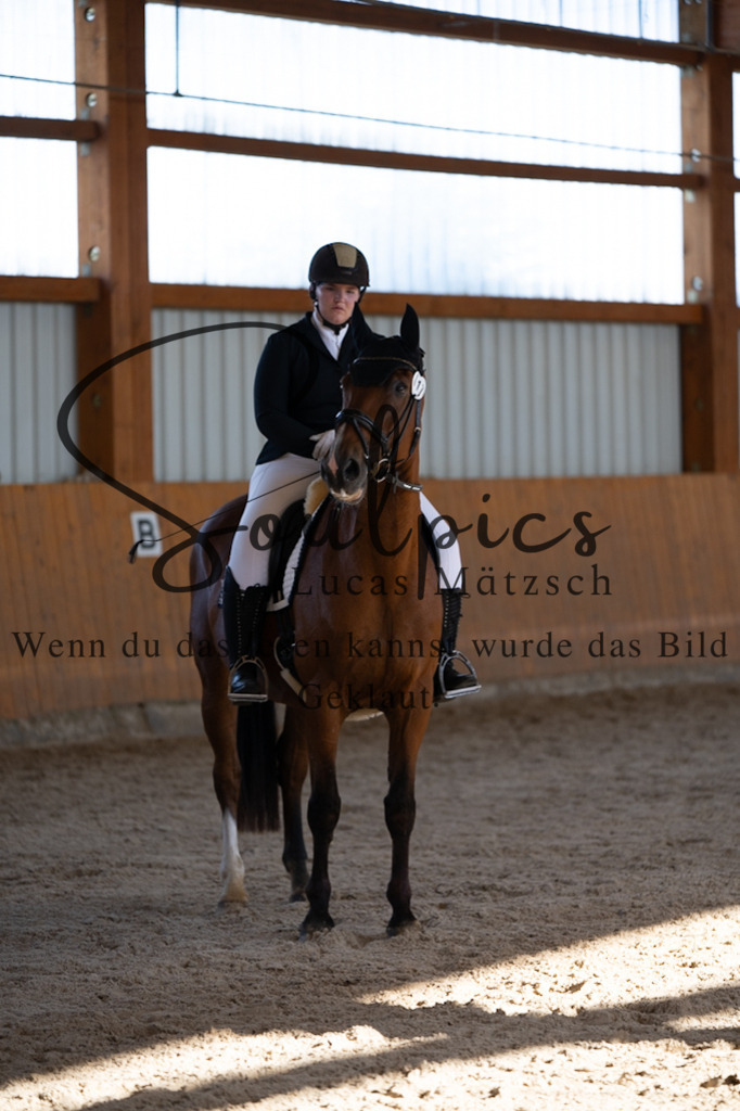 A7V01880 | Pferdefotograf