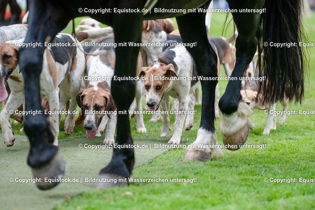 20250606_Lange-Pferdenacht_0544 | Foto: Thomas Hartig