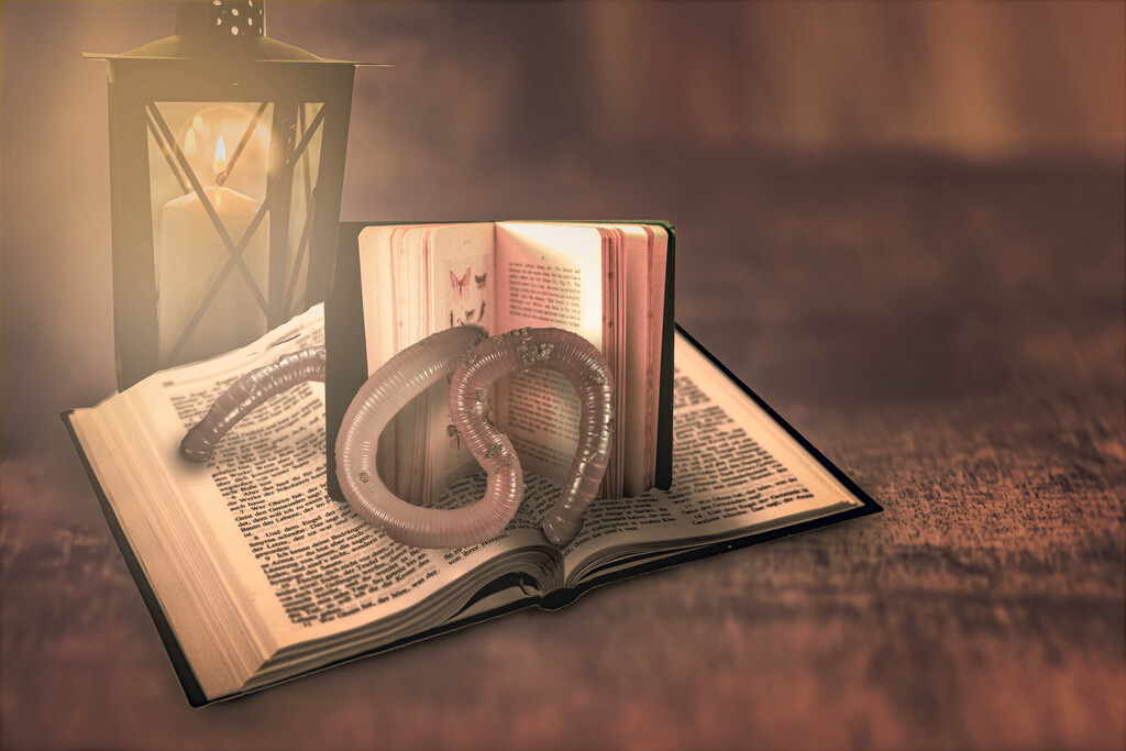 Buchschmarotler und Märchenbuch | Die Aufnahme zeigt eine fantasievolle Komposition mit einem offenen Buch, aus dem ein Buchschmarotler kriecht.  Das Buch ist aufgeschlagen und zeigt dicht gedruckten Text, dessen Inhalt leider nicht lesbar ist. Der Buchschmarotler ist ein glattes, dunkles Reptil, dessen Textur detailreich dargestellt ist.  Das Licht einer Laterne im Hintergrund betont die Konturen des Buches und des Reptils und wirft interessante Schatten. Der Stil der Bildbearbeitung lässt die Szene fast dreidimensional wirken. Der Aufnahmeort befindet sich in der Nähe von Heidelberg, Deutschland. - Realisiert mit Pictrs.com