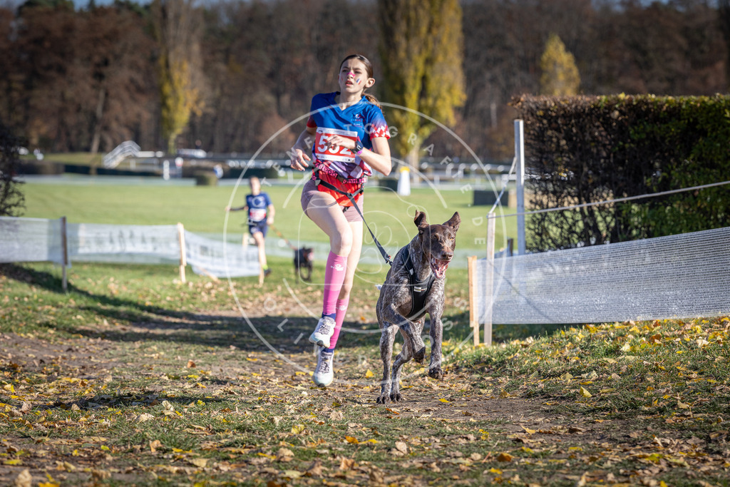 CaniXpix_DV3A8514 | Hundefotografie, Tierfotograf, Pfotenfotografie, Fotoshooting Hund, Hunde Portrait, Hundesport, Hundeportraits, Heideshooting, Hunde, Sportfotograf, Hundefotograf, Turnierhundsport, THS,  - Realisiert mit Pictrs.com