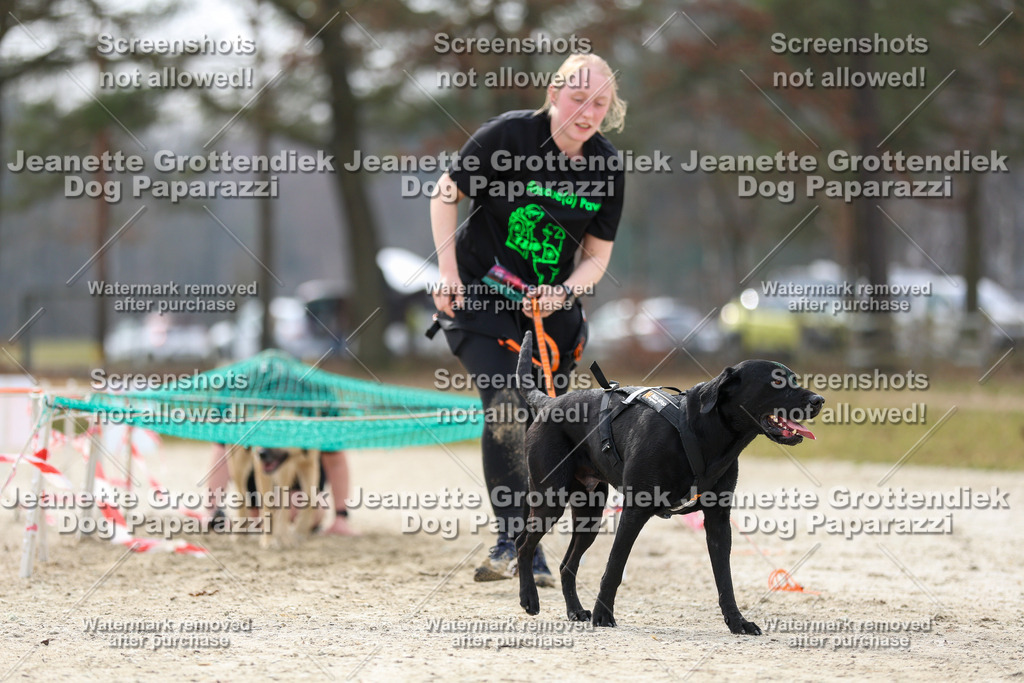Dog Paparazzi - Strongdog North Mrz26-5775 | Dog Paparazzi Jeanette Grottendiek Fotografie & Videografie - Realisiert mit Pictrs.com