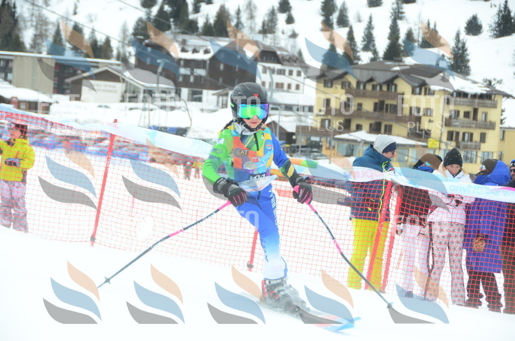 DSC_0869 | holidayphoto