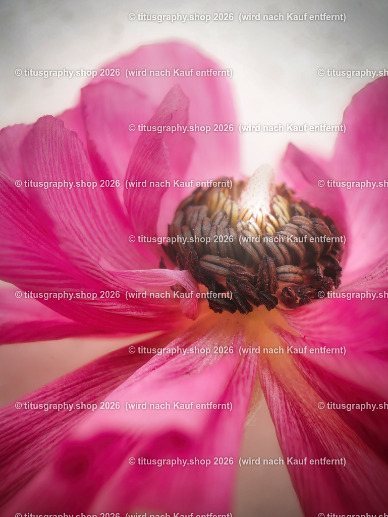 P1000114-b3-a-h_pe | titusgraphy-shop: Geschenkideen mit Qualitätsfotos. titusgraphy-shop: gift ideas with quality photos. titusgraphy-shop: idées cadeaux avec photos de qualité.  - Realisiert mit Pictrs.com