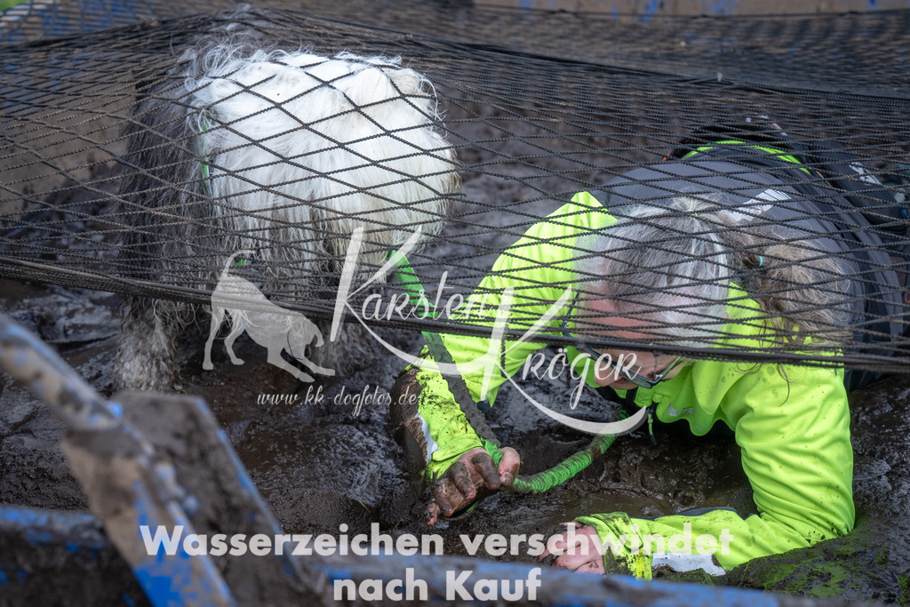 1446_ZZ93530 | kk-dogfotos