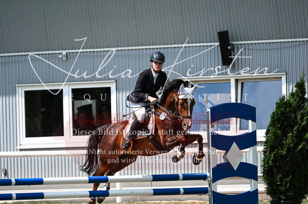 DSC_9458 | Pferde- und Turnierfotografie in Westsachsen. Pferdeportraits, Auftragszeichnungen und intuitive Kunst.