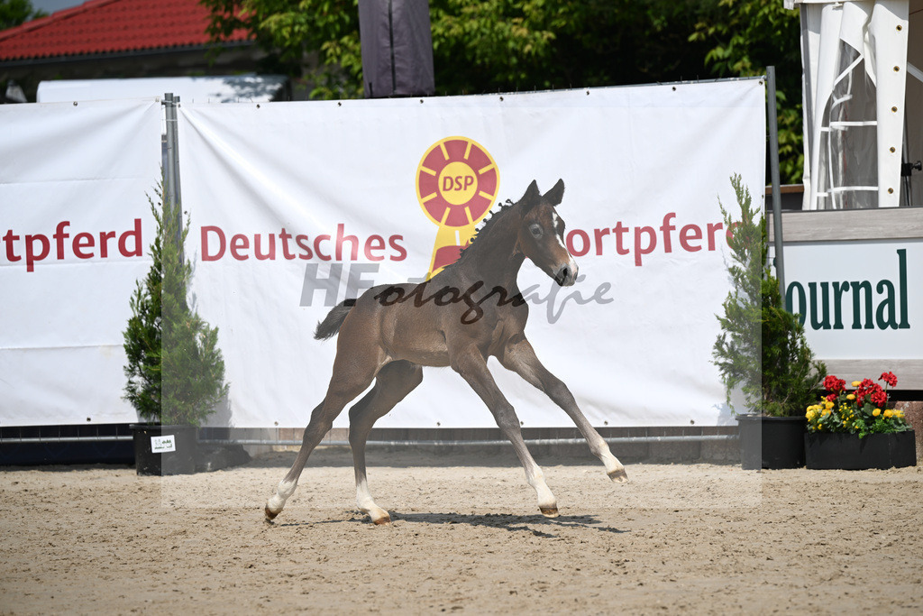 Dia Corrado x Carpalo_HF_Stierle_12250296 | hf-fotografie - Realizzato con Pictrs.com