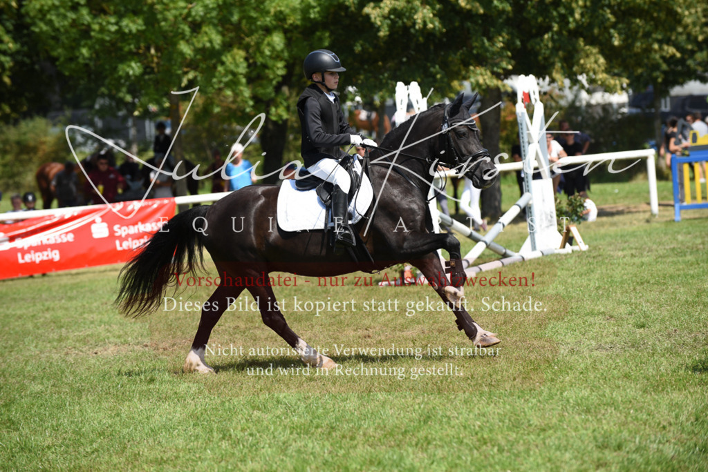 DSC_9896 | Pferde- und Turnierfotografie in Westsachsen. Pferdeportraits, Auftragszeichnungen und intuitive Kunst.