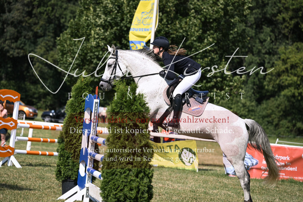 DSC_1061 | Pferde- und Turnierfotografie in Westsachsen. Pferdeportraits, Auftragszeichnungen und intuitive Kunst.