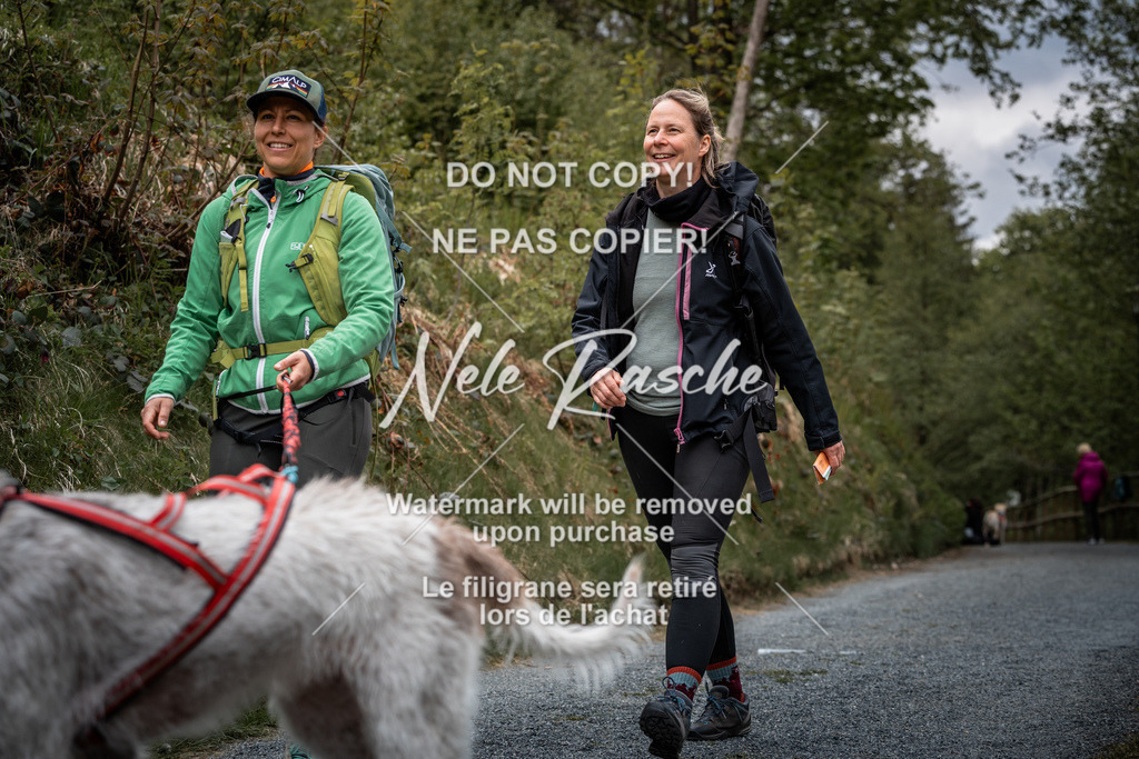 nelerasche_SaAbends_129 | nelerasche