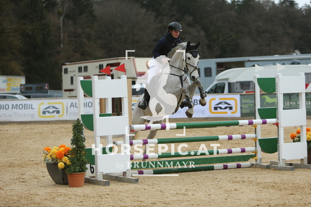 DL2Q6658 | Willkommen bei Brunnmayr - Design & Fotografie – Ihrem Spezialisten für Reitturniere und Pferdeveranstaltungen in Oberösterreich, Salzburg und Bayern! Seit über 17 Jahren sind wir leidenschaftlich dabei.