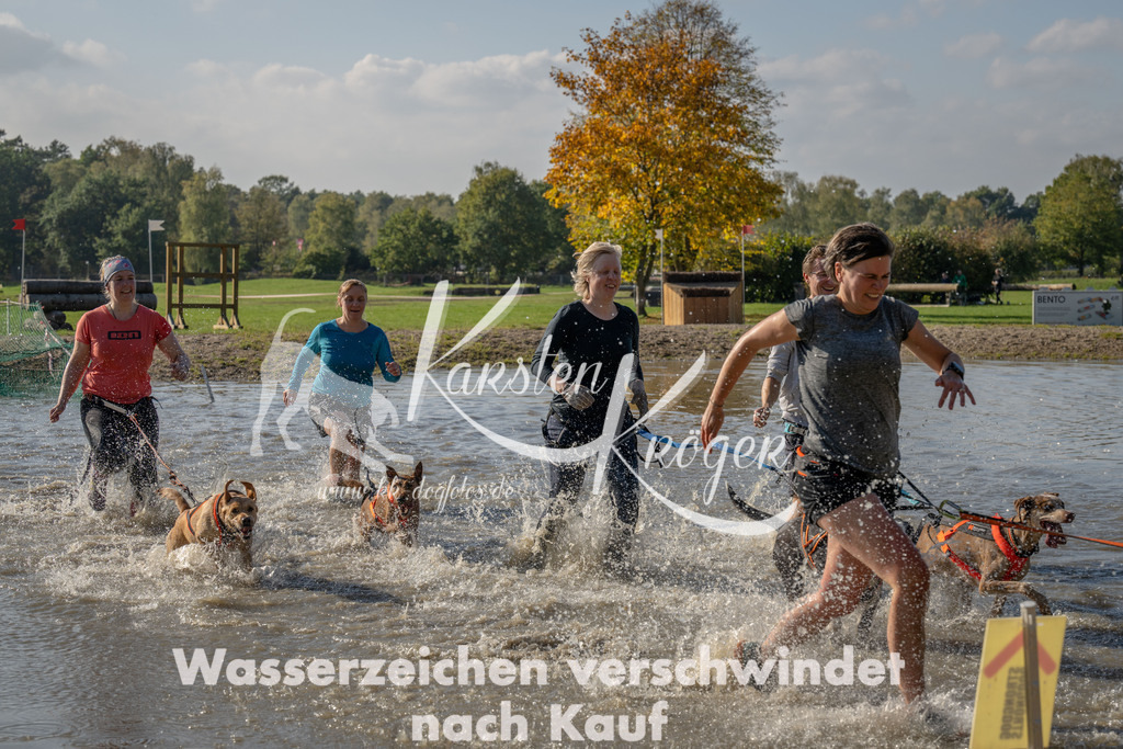 1420_ZZ92305 | kk-dogfotos