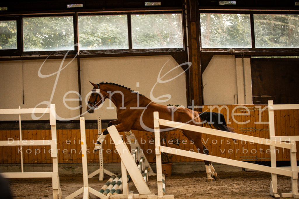 2FS_L00115 | Leoni Ertmer Photography - Realisiert mit Pictrs.com