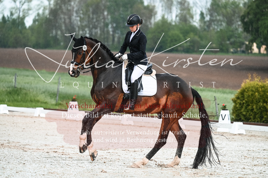 DSC_4169 | Pferde- und Turnierfotografie in Westsachsen. Pferdeportraits, Auftragszeichnungen und intuitive Kunst.