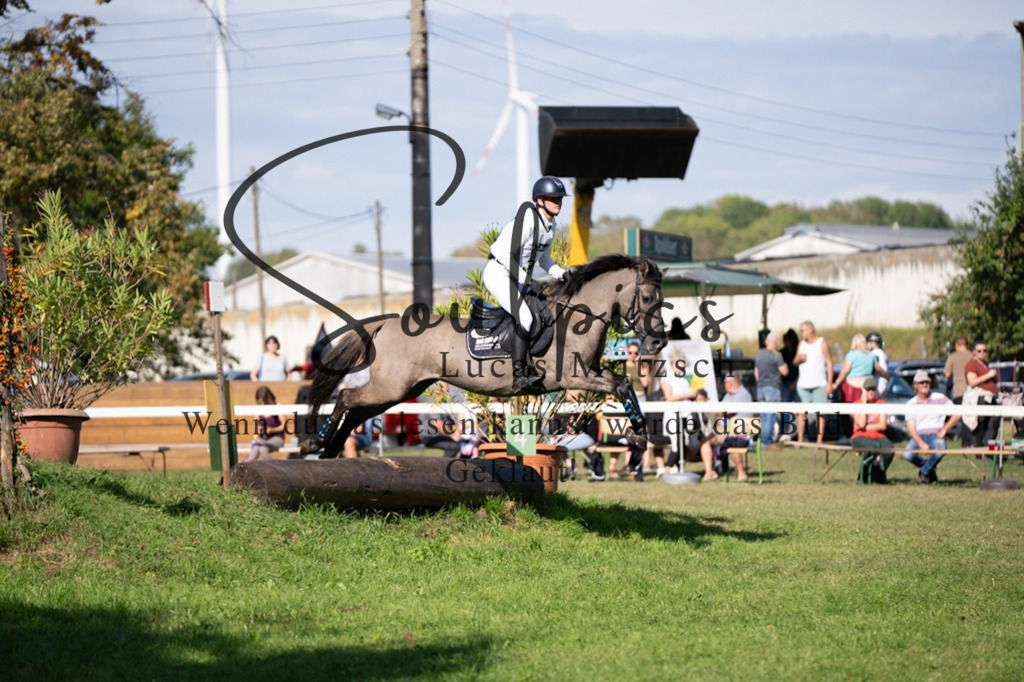 A7V03399 | Pferdefotograf