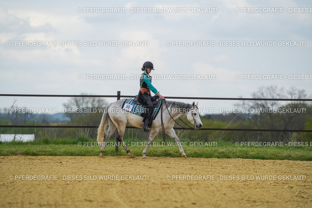 DSC06668 | Pferdegrafie