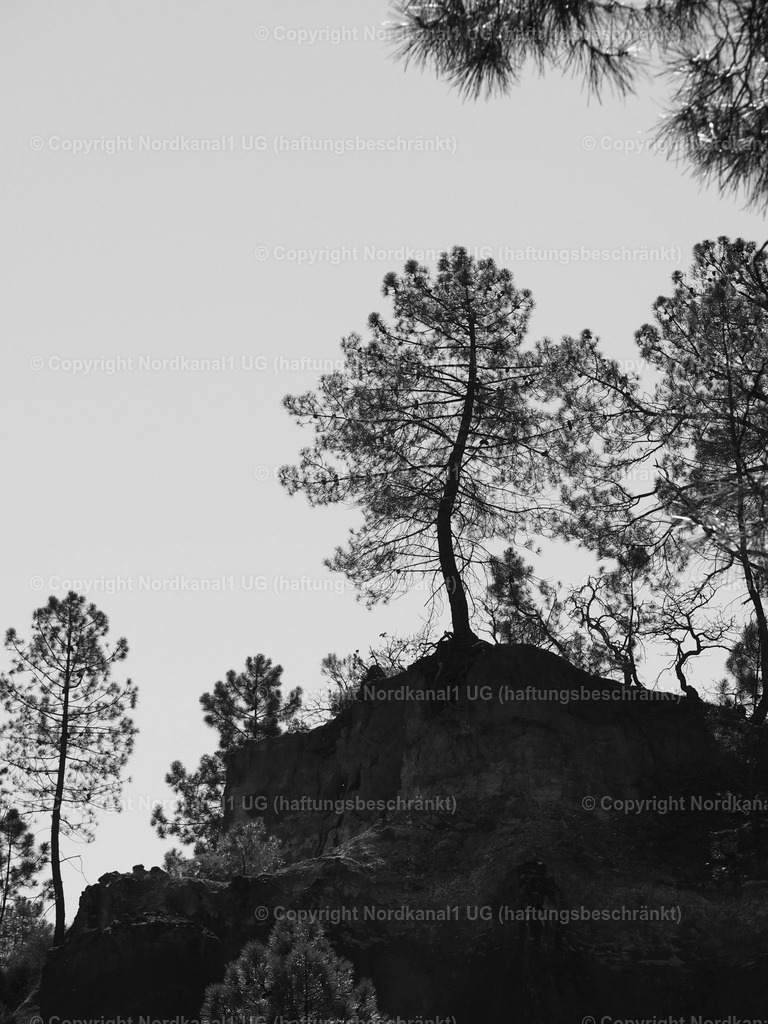 IMG_2933 | OLYMPUS DIGITAL CAMERA          - Realisiert mit Pictrs.com