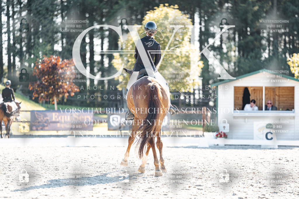 CK906671 | Turnierfotografie Pferdefotografie Trier Rheinland-Pfalz Pferdesport Reitsport Tierfotografie Sportfotografie Pferdevideo Pferdevideografie Equestrianvideography equestrianphotography  - Realisiert mit Pictrs.com