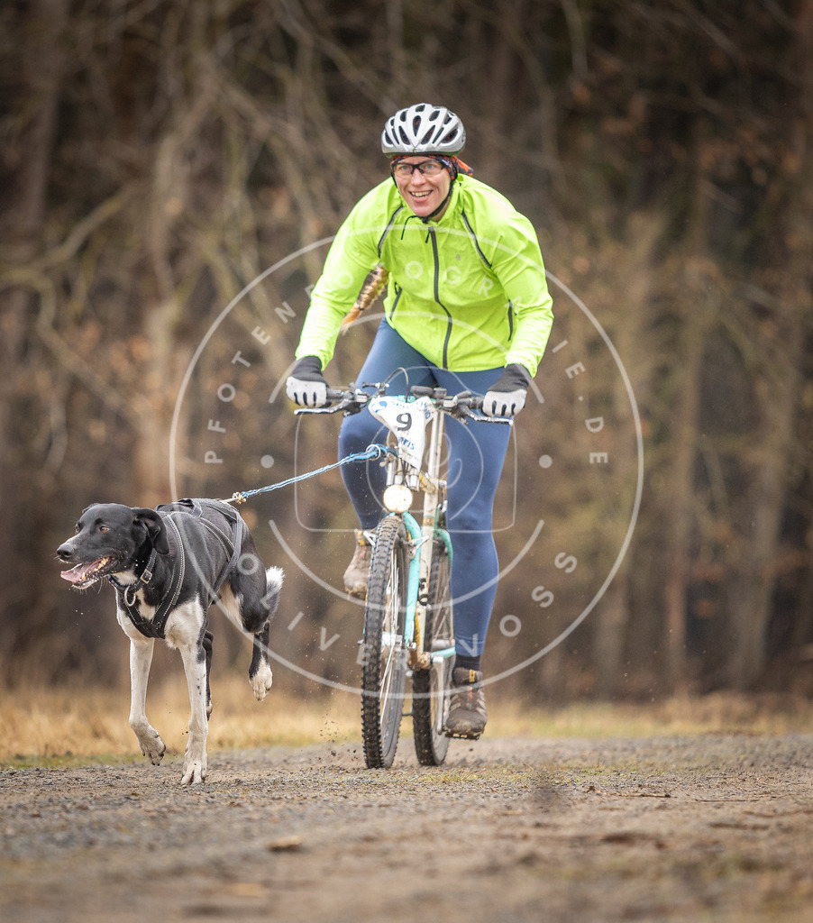 DV3A3201 | Hundefotografie, Tierfotograf, Pfotenfotografie, Fotoshooting Hund, Hunde Portrait, Hundesport, Hundeportraits, Heideshooting, Hunde, Sportfotograf, Hundefotograf, Turnierhundsport, THS,  - Realisiert mit Pictrs.com