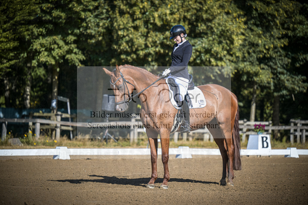 DOS_2106 | Entdecke hochwertige Reitturnierfotos von Foto Oger. Professionell, emotional und authentisch – jetzt Lieblingsmomente im Shop bestellen.Deutschlandweite Turnierfotografie. - Realisiert mit Pictrs.com