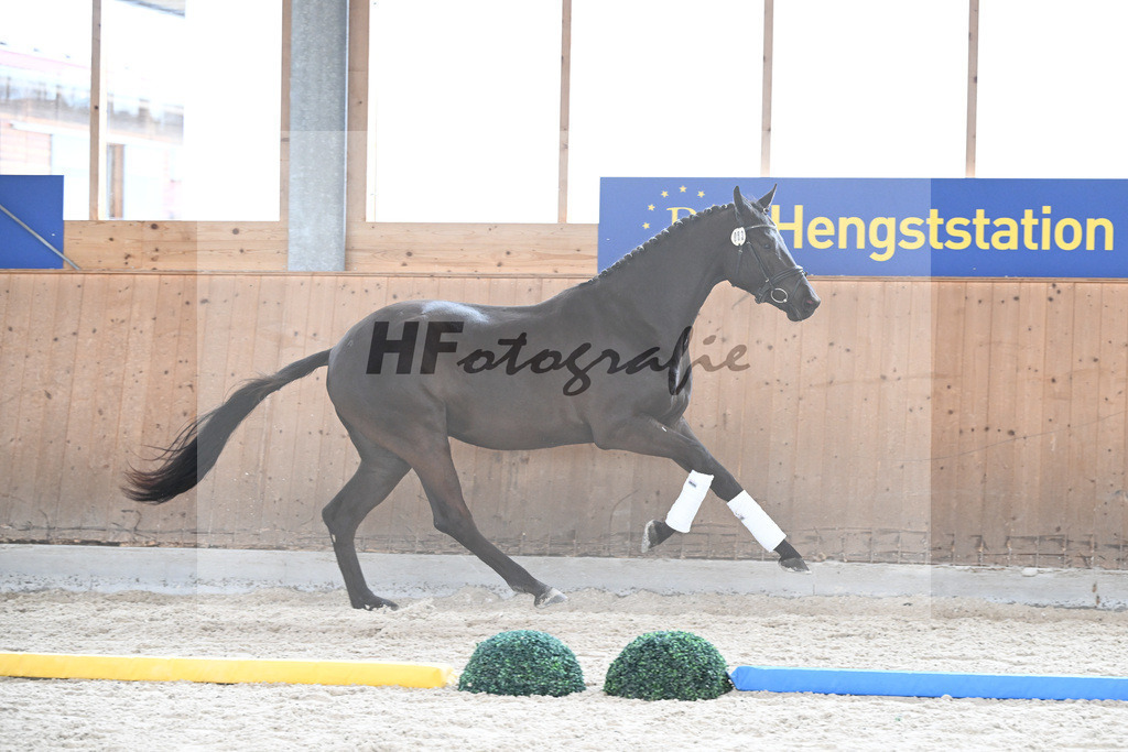 Kat-Nr. 83 Midnight v. Millennium_Paintmayer_7241193 | hf-fotografie - Realizzato con Pictrs.com