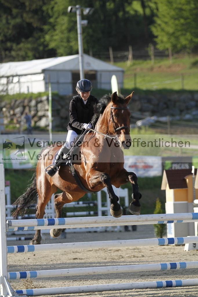 _MG_8439 | equestrian-live-com