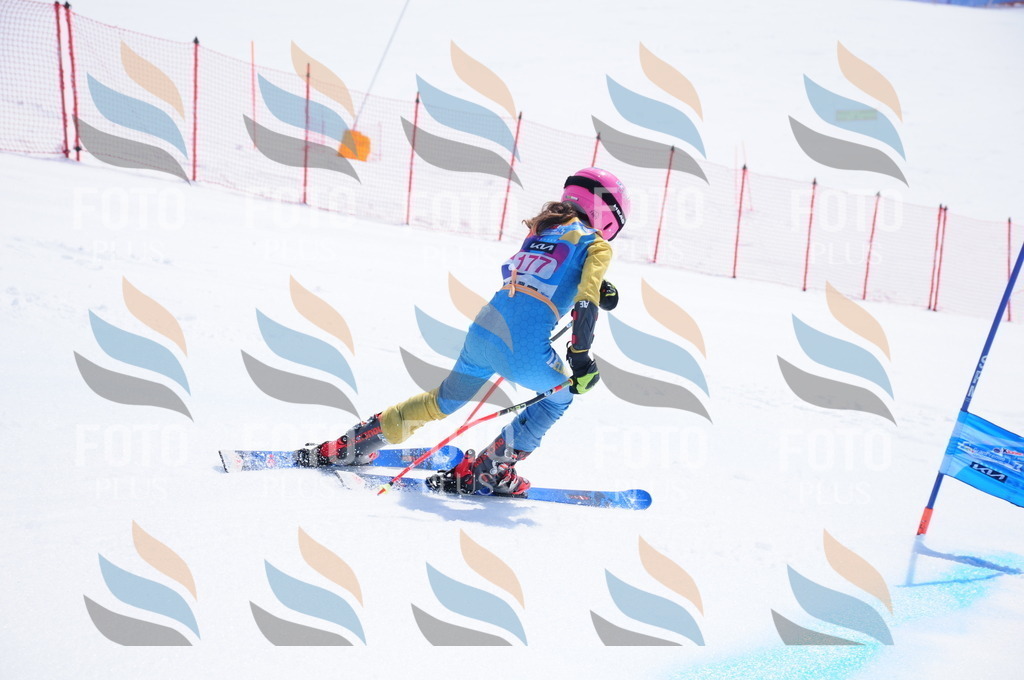 DSC_5547 | holidayphoto