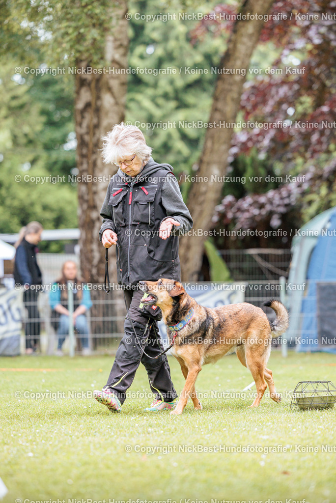 RO-Blumenthal-2026-Nickbest-Hundefotografie-1375 | Dein Hund! Dein Moment! Deine Erinnerungen! Hundefotografie in Bremen Blumenthal. Ich fange die besonderen Momente deines Vierbeiners ein – ob Indoor mit Blitzanlage oder in der freien Natur. Sicher dir dein Moment und dein Termin für eure Erinnerungen.