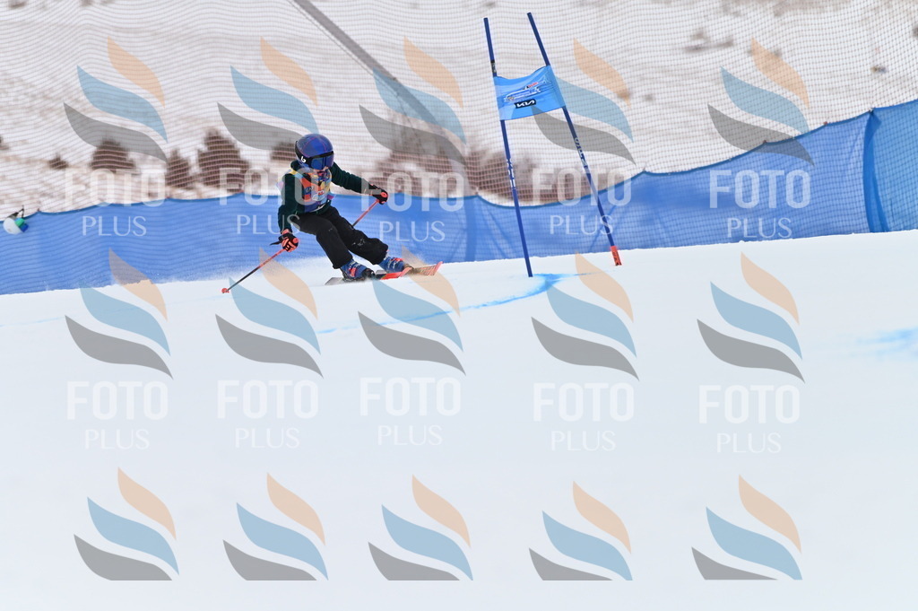 BGV_9555 | holidayphoto