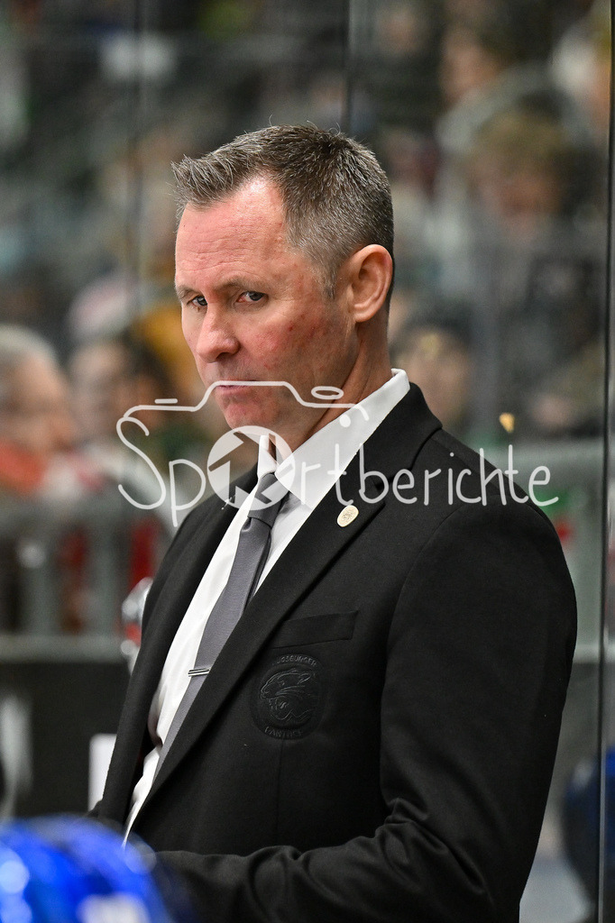 Augsburger Panther - Iserlohn Roosters | Im Bild Ted DENT Headcoach Augsburger Panther / Freisteller / Einzelfoto / DEL: Augsburger Panther - Iserlohn Roosters, Curt Frenzel Stadion am 17.11.2024