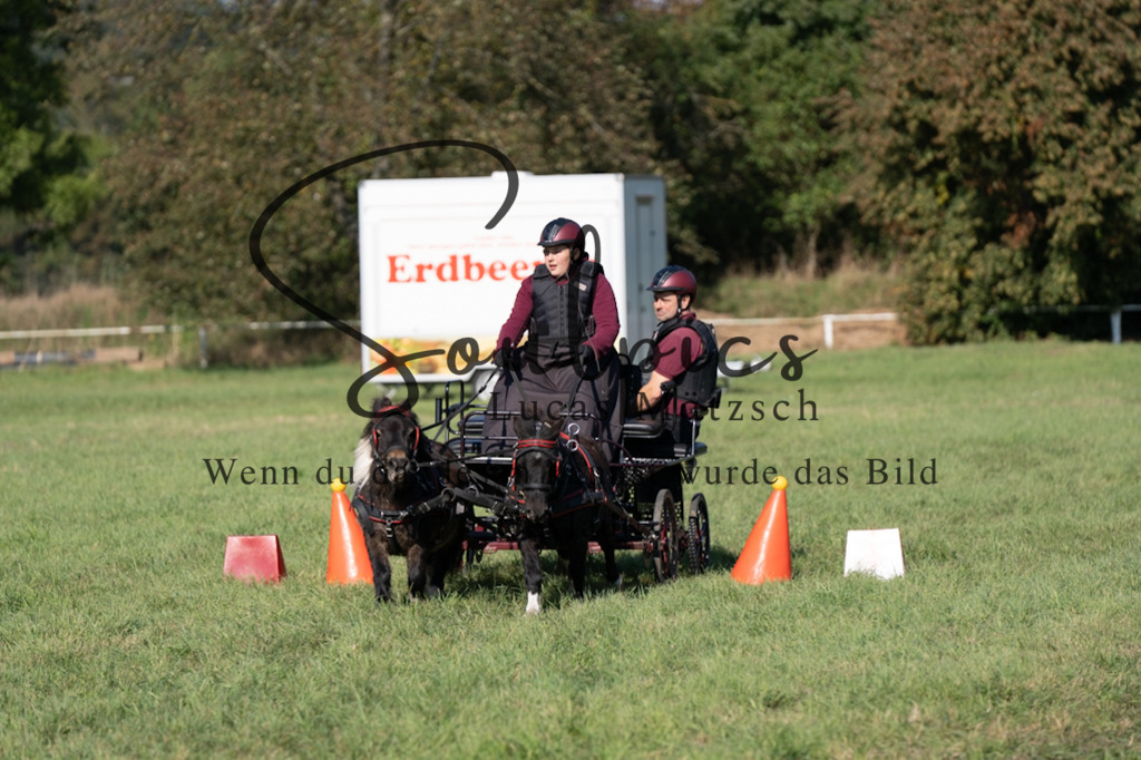 A7V04410 | Pferdefotograf