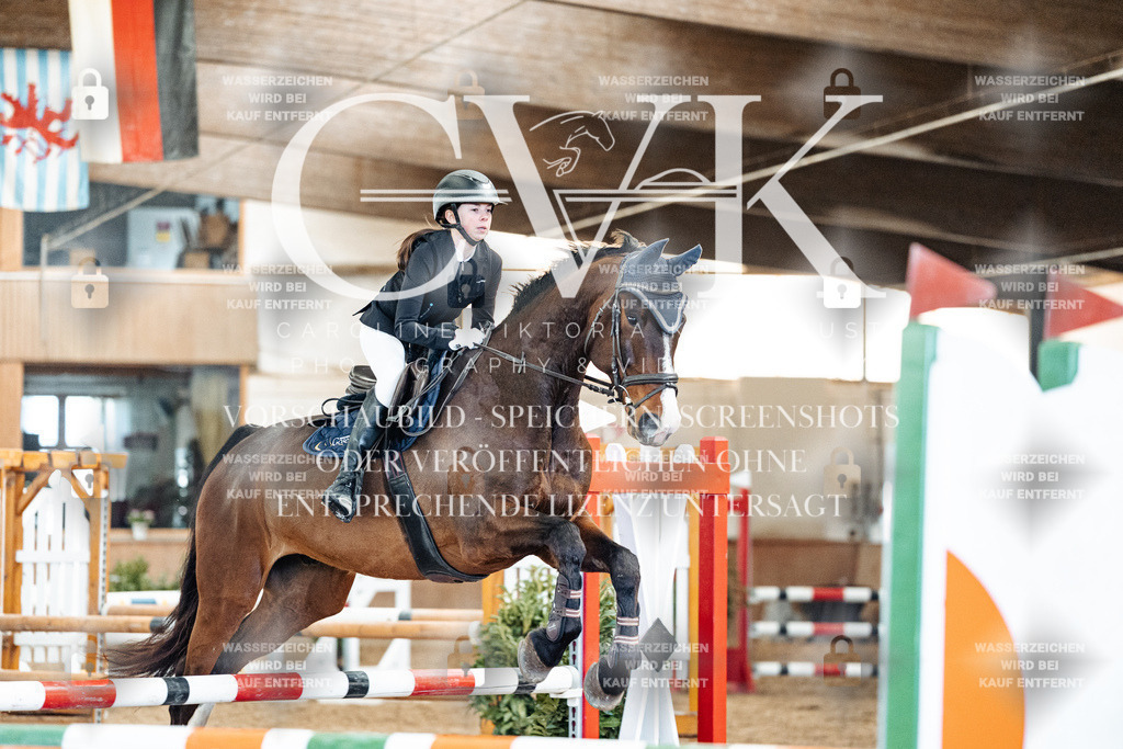 CK905203 | Turnierfotografie Pferdefotografie Trier Rheinland-Pfalz Pferdesport Reitsport Tierfotografie Sportfotografie Pferdevideo Pferdevideografie Equestrianvideography equestrianphotography  - Realisiert mit Pictrs.com