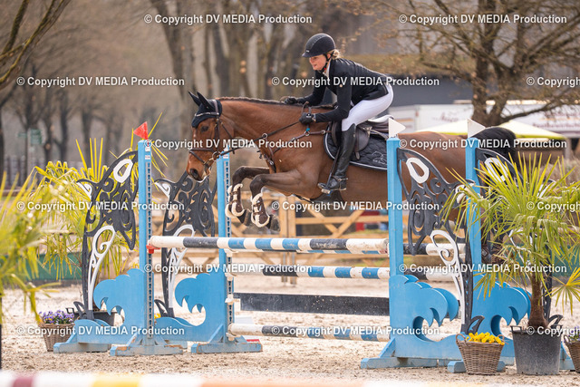 Kranichstein Tag 2-1306 | dv-media-shop - Realized with Pictrs.com