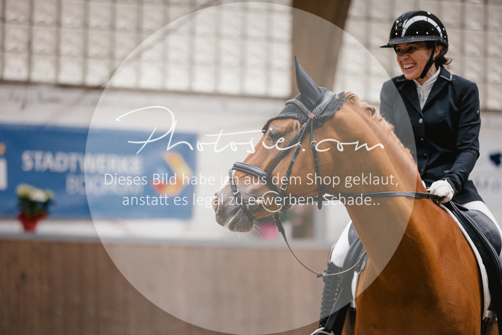 3I6A6495 | Stimmungsvolle Portraits und Reitsportfotografie im Ruhrgebiet und im Münsterland.

Pferdefotografie, Hundefotografie, Tierfotografie, Reportagen, Portraits von Tier und Mensch, Turnierfotografie in Bochum, Recklinghausen, Marl, Haltern am See, Dülmen.. - Realisiert mit Pictrs.com