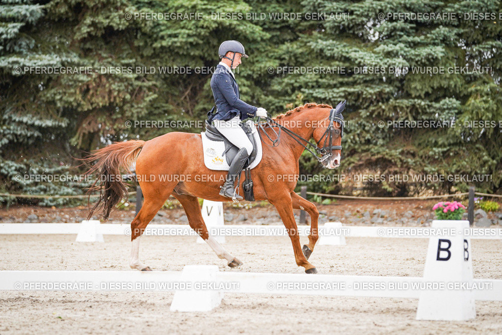 DSC08469 | Pferdegrafie