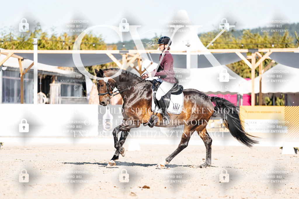 CK907549 | Turnierfotografie Pferdefotografie Trier Rheinland-Pfalz Pferdesport Reitsport Tierfotografie Sportfotografie Pferdevideo Pferdevideografie Equestrianvideography equestrianphotography  - Realisiert mit Pictrs.com