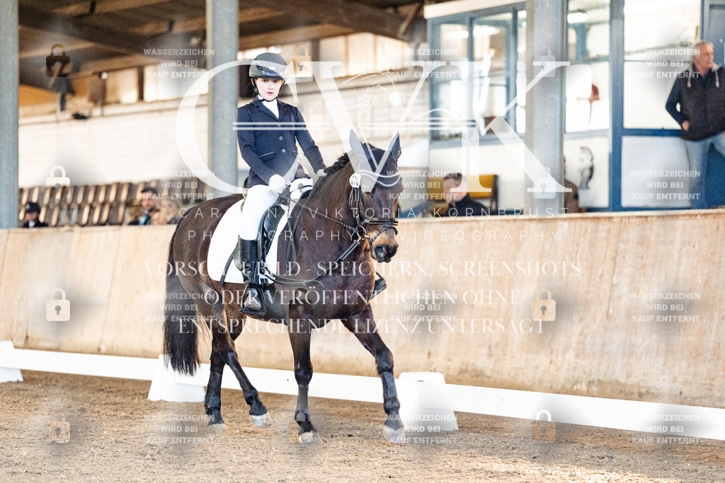 CK906716 | Turnierfotografie Pferdefotografie Trier Rheinland-Pfalz Pferdesport Reitsport Tierfotografie Sportfotografie Pferdevideo Pferdevideografie Equestrianvideography equestrianphotography  - Realisiert mit Pictrs.com