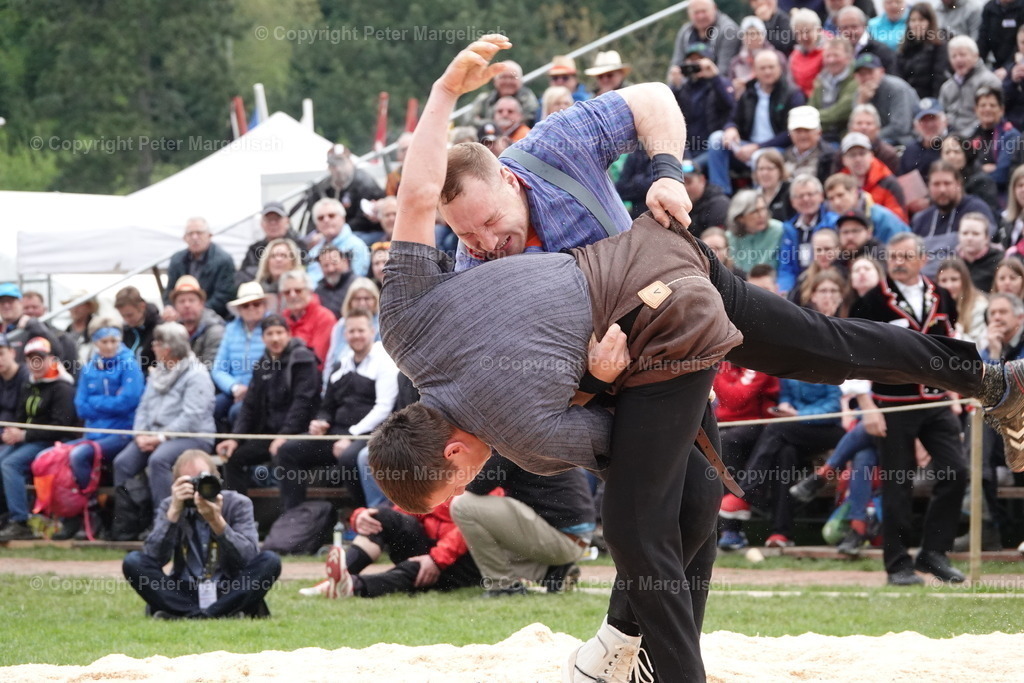 DSC03247 | Schwingen - Realisiert mit Pictrs.com