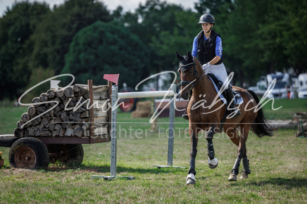 20260905-_3LI9603 | Tierfotografie Pferde, Hunde, Katzen, Haustiere.
Turnierfotografie Reitturniere, Reiten, Springreiten, Dressur in Hanau, dem Main-Kinzig-Kreis und dem Rhein-Main- Gebiet um Frankfurt