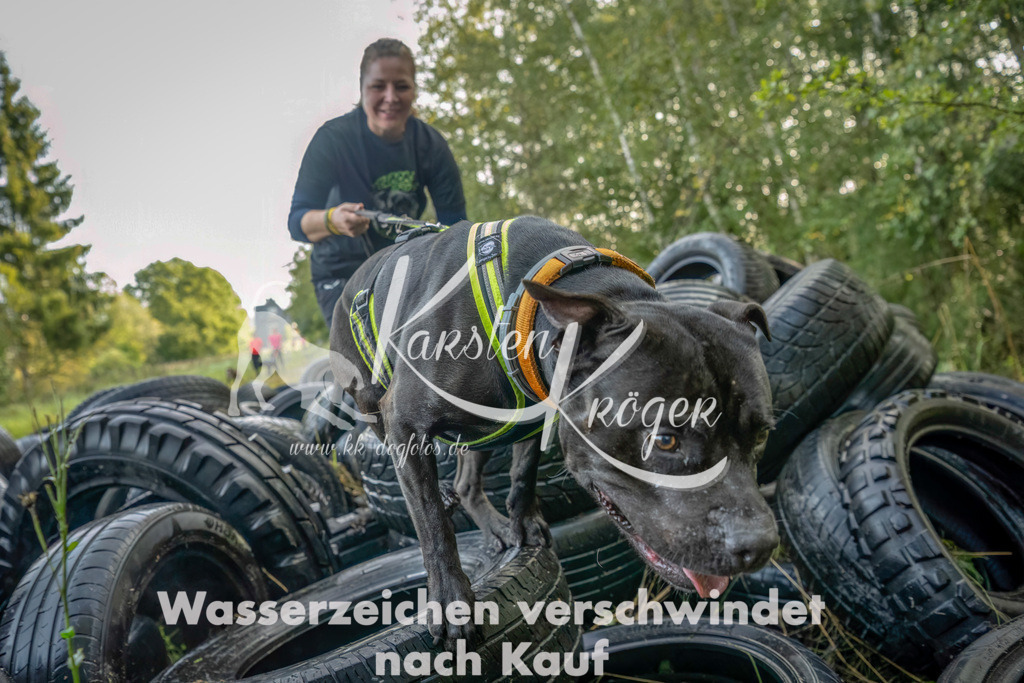 1028_ZZ94480-Bearbeitet | kk-dogfotos