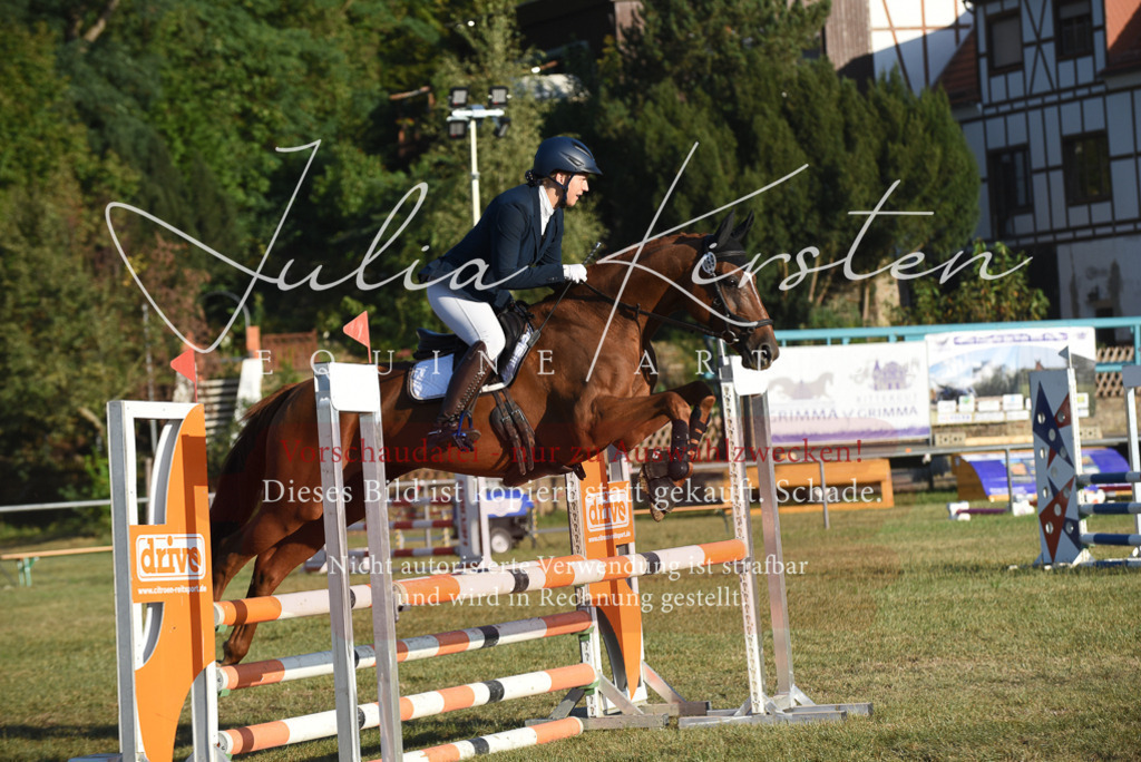 DSC_4901 | Pferde- und Turnierfotografie in Westsachsen. Pferdeportraits, Auftragszeichnungen und intuitive Kunst.